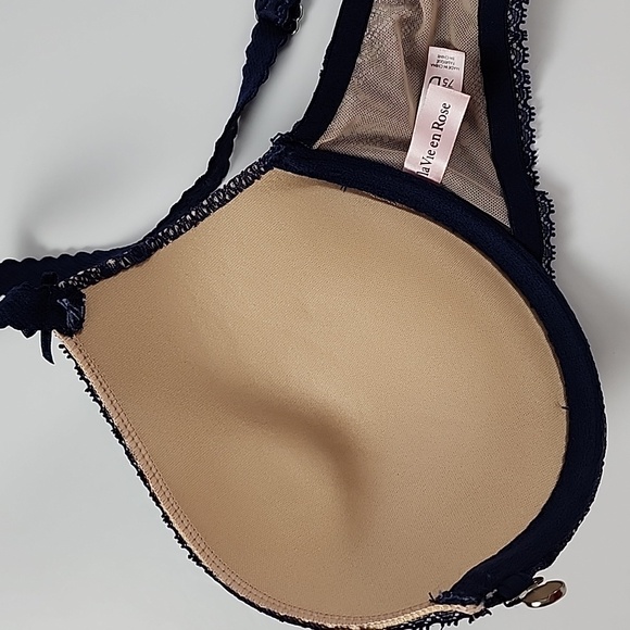 ⭐️2/ $30⭐️ La Vie en Rose Blue Mesh Nude Underwire Bra Magnetic Closure Size 34D - Picture 9 of 13
